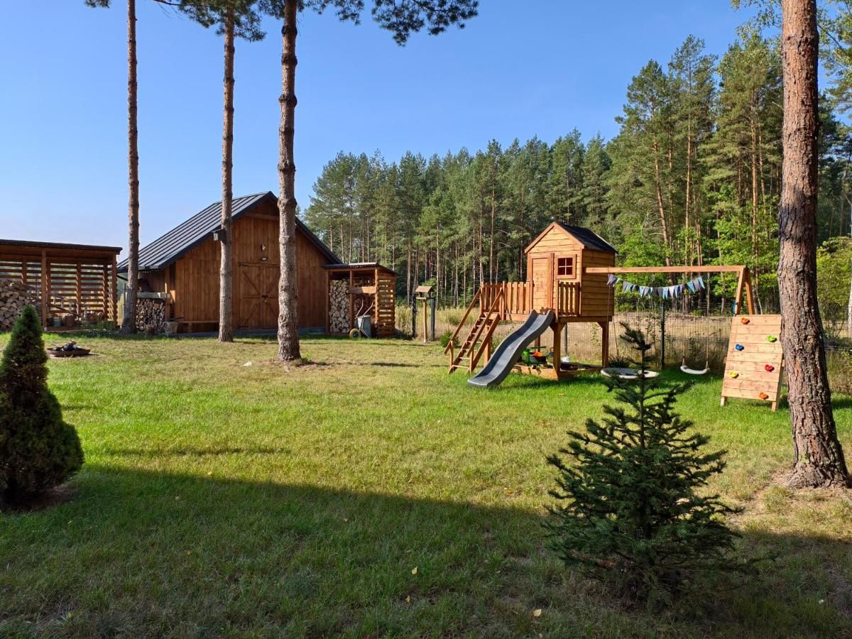Zielony ogród przy drewnianej stodole i sosnowym lesie